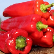 Papryka Corno Toro Rosso nasiona kolekcjonerskie