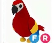 Parrot FR Adopt Me!