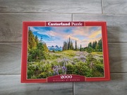 Puzzle Castorland 2000 elementów Blossoms of Morning