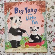 Big Yang And Little Yin książka dla dzieci po angielsku 