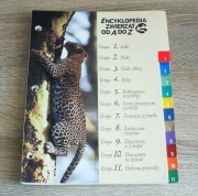 Karty do Encyklopedii Zwierząt od A do Z do teczki