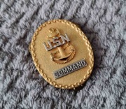 Przypinka - USN - Chief Petty Officer Of The Command E-7