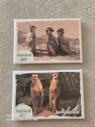 Magnes na lodówkę PŁOCKIE ZOO. Surykatki. Zoo w Płocku. 2szt.