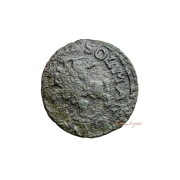 Boratynka Patynka NAJTANIEJ 89