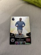 Erling haaland limited edition