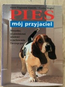 Pies mój przyjaciel
