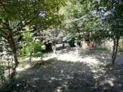 Sprzedam ogródek działkowy 