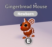 ROBLOX ADOPT ME Gingerbread Mouse