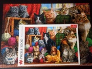 Puzzle Kocie spotkanie. Trefl 1000 68,3x48 cm