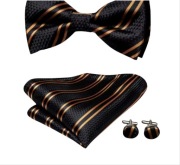 Muszka z butonierka I spinkami 