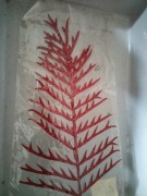 Galazka świąteczna komplet 7 szt