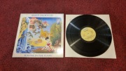 119 WINYL Sally Oldfield – Playing In The Flame Bronze – 204 140 IDALNA