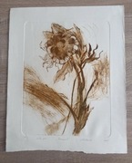 Słonecznik sepia grafika 50x40