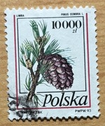 3308, * kasowany; Owoce drzew iglastych (2)