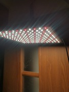 Panel led do uprawy roślin. Full spectrum. 
