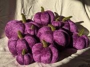 Dynia poduszka dekoracyjna duży zestaw