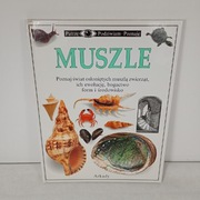 Muszle. Arkady. Patrzę, Podziwiam, Poznaje.
