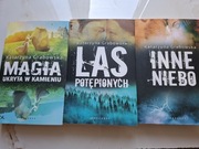 Seria Magia ukryta w kamieniu, Katarzyna Grabowska