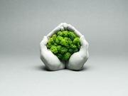 Dekoracja z mchu / Betonowe ręce + mech chrobotek