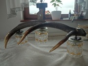 Lampa żyrandol z poroża. Lampa w stylu myśliwskim 