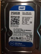 Dysk HDD 250GB WD Blue 3.5" SATA - Sprawdzony w CrystalDiskInfo