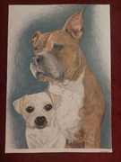 Portret z zdjęcia na zamówienie 