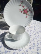 Urocze  trio i duo. Bavaria.