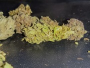 100g Susz CBD MIX fenotypów 8.25% wyprzedaż promocja okazja 