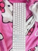 Klawiatura apple magic keyboard A1843 QWERTY
