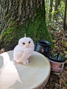 Świeca sojowa sowa Hedwiga, Dzień Nauczyciela