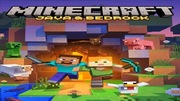 MINECRAFT: JAVA & BEDROCK EDITION PC 