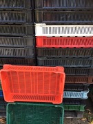 Skrzynka pojemnik magazynowy czeszka 10 kg owoce w