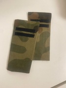 Pagony kapral aktualne