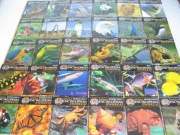 Wielka Encyklopedia Zwierząt Oxford, KOMPLET 30 tomów/NOWA