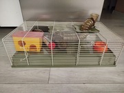 Klatka dla chomika z wyposażeniem 