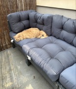 4-częściowy zestaw mebli ogrodowy z poduszkami z litego drewna sosnowego