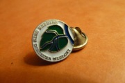Jasło Dębica Brzostek Biecz Pilzno Jedlicze Herb pin przypinka 