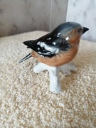 Cudowny, piękny ptak von Goebel,