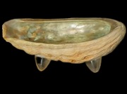 Rzadka Opalizująca Muszla Miska na Klucze Mydelniczka