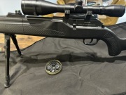 Umarex air magnum 850