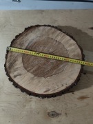 Plaster drewna olcha 37cm