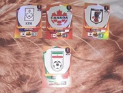 Karty Fifa Katar 2022