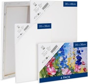 PŁÓTNO MALARSKIE KANWY ZESTAW 4 SZT. 20X30 30X40