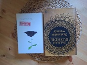 Sto lat samotności i Szatańskie wersety