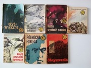 Seria z tygrysem tygrysek 7 sztuk