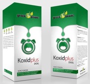 Kokcydioza naturalny antybiotyk ziołowy dla psów