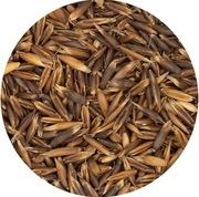 Owies czarny worki 20kg zbiór 2025