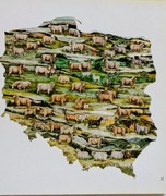 Owce w Polsce rasy i hodowla album