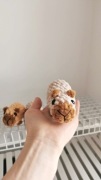 Kapibara na szydełku handmade, dekoracja 