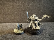 Stormcast Knight Questor age of Sigmar